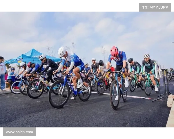 2015年体育赛事一览表