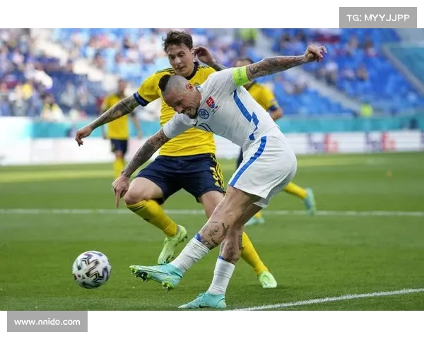 瑞典和秘鲁赛事—瑞典队的比赛